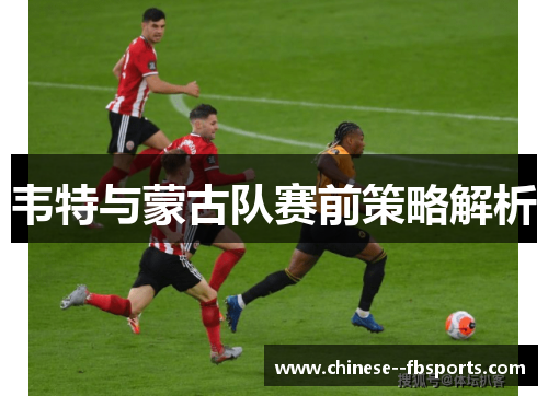 韦特与蒙古队赛前策略解析 韦特与蒙古队赛前策略解析